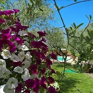 Agriturismo Le Dolci Colline D'abruzzo Alloggio per agriturismo Pianella (Siena)